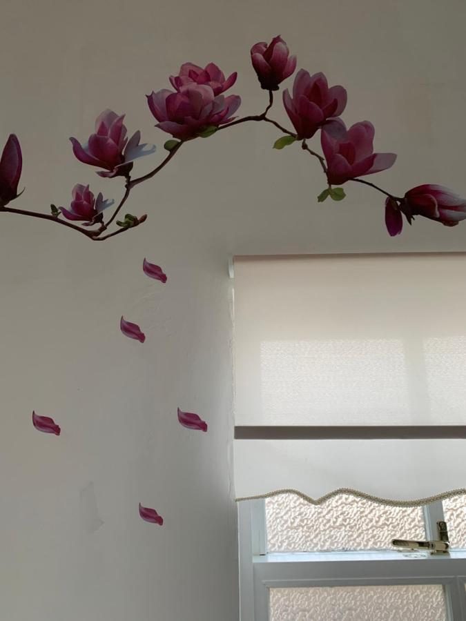 The Badger Set Apartment Hinderwell Bagian luar foto